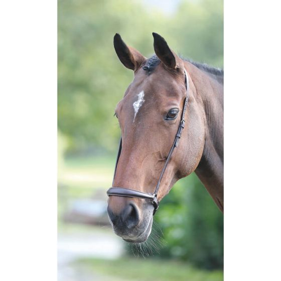 Shires Velociti Gara Leather Newmarket Attachment | Black, Havana | 2