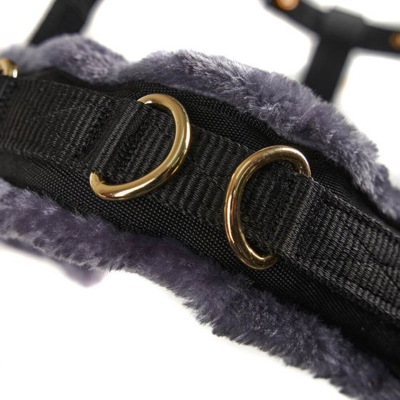 Poumon Shires Cavesson Poumon Doublé Polaire Shires Cavesson Noir Taille Xfull Pour 1274368