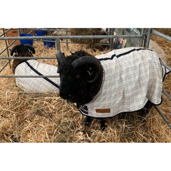 Animac Travel Show Sheep Coat Chelford Farm Supplies