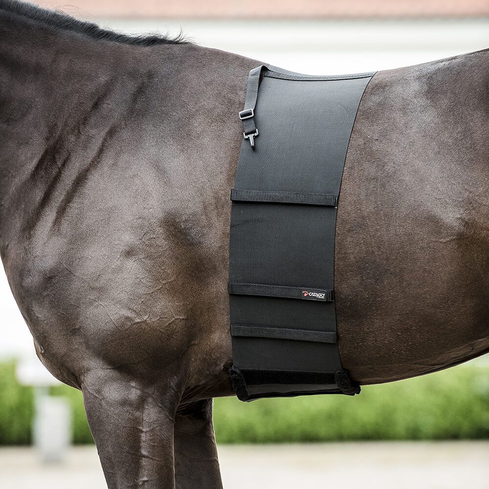 CATAGO Corps Shield - Protection Du pour Chevaux - Noir - S - 170 CM Tampon 5701883299509