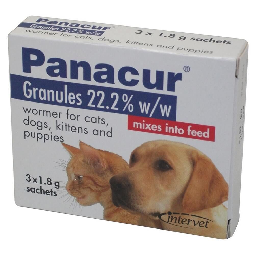 Panacur Kitten Wormer Panacur Granules Wormer Sachets For Dogs And